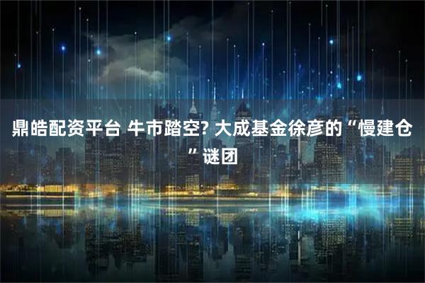 鼎皓配资平台 牛市踏空? 大成基金徐彦的“慢建仓”谜团
